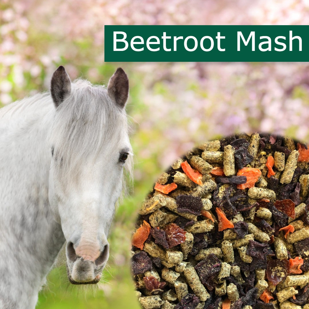 Horsepro Beetroot Mash