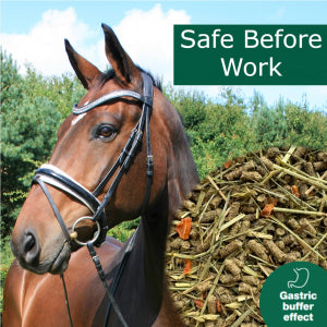 Horsepro Safe Before Work