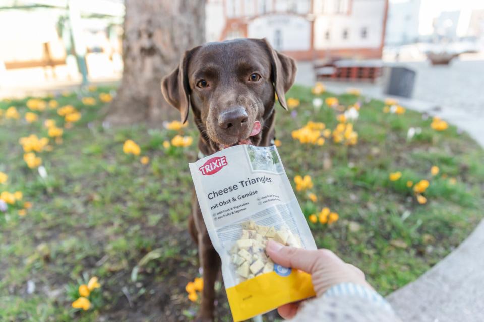 Trixie Ostetrekant Med Frugt og Grøntsager