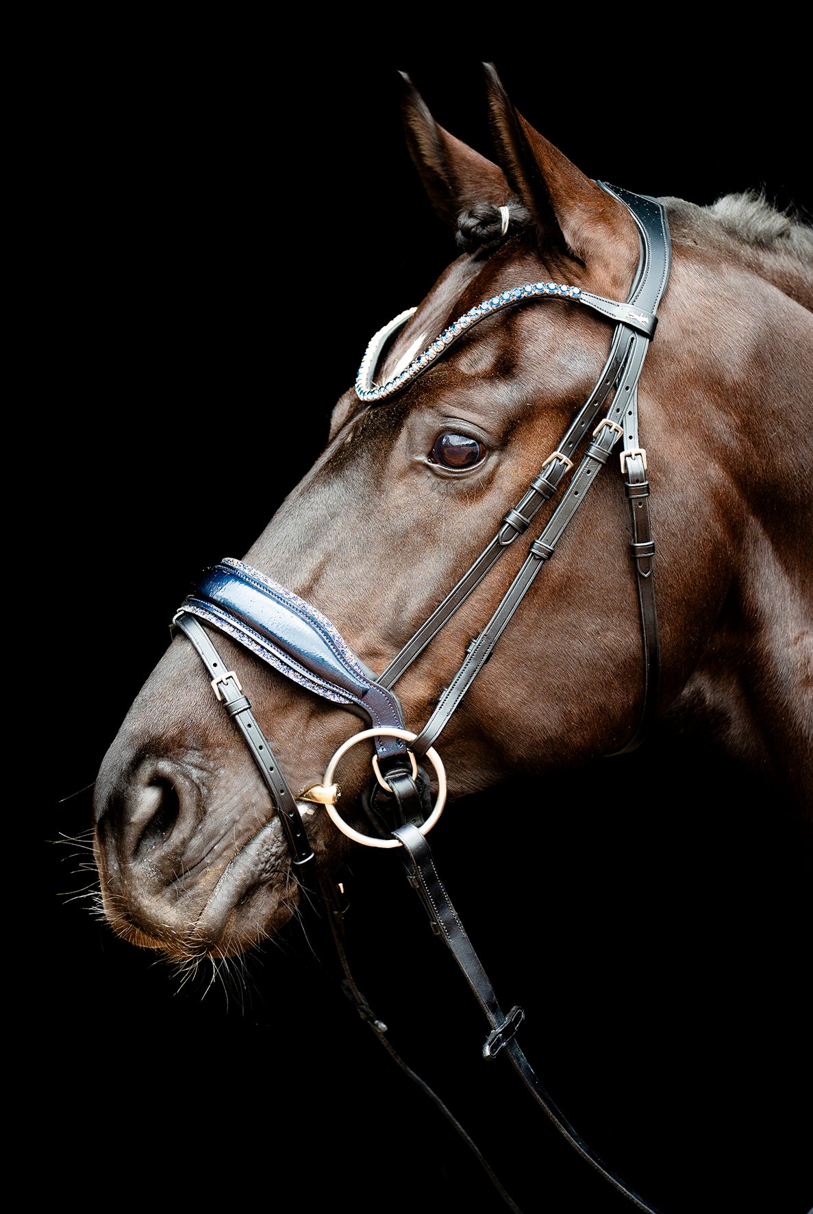 Schockemöhle SP Luxury Dressage
