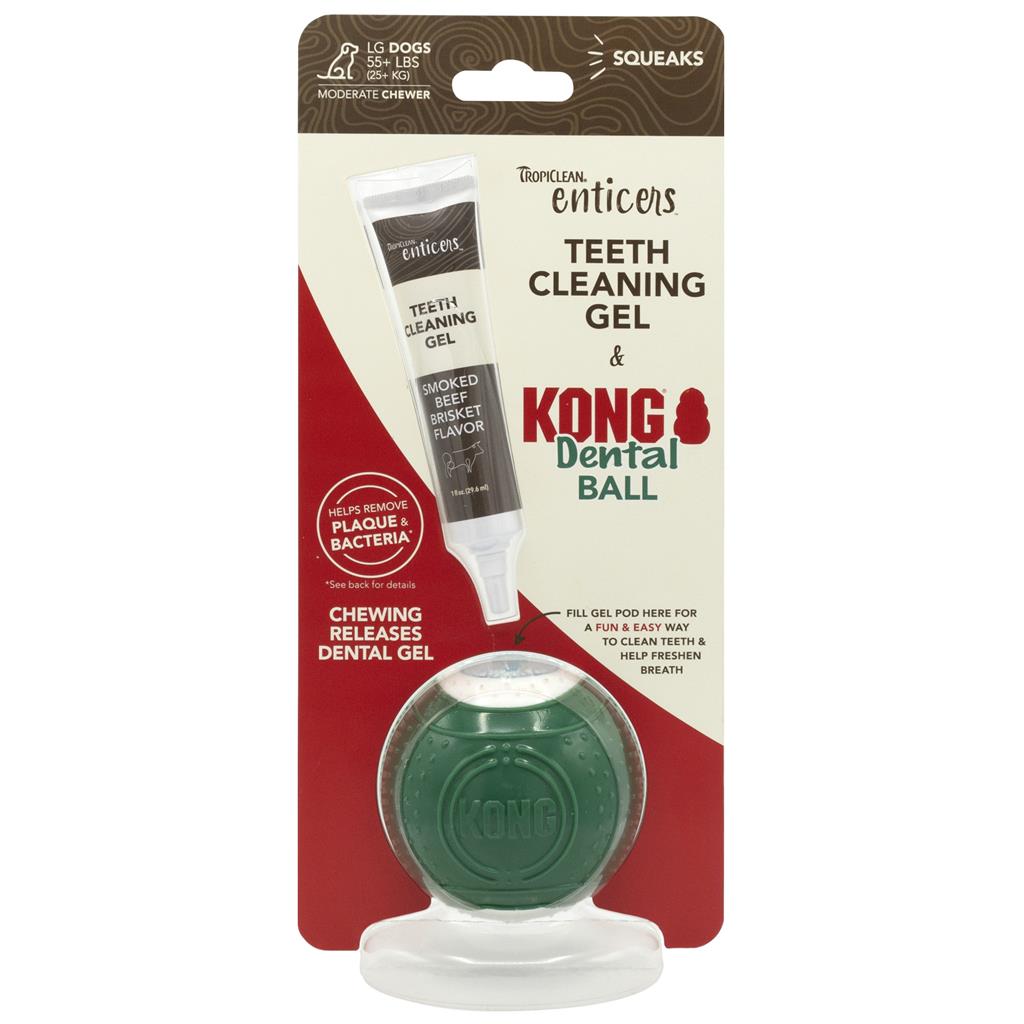 KONG KONG Dental Ball