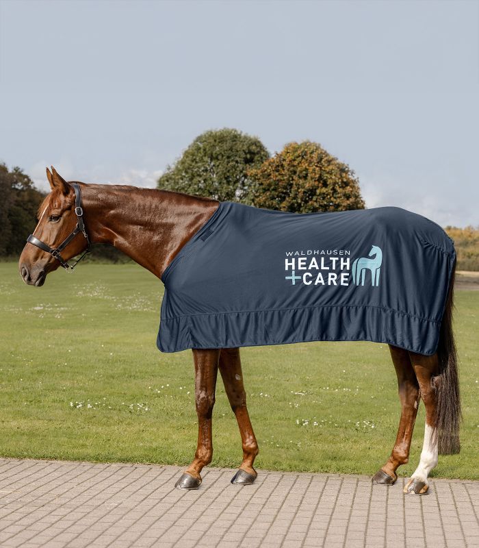 Waldhausen W-Health + Care Ice Layer Rug