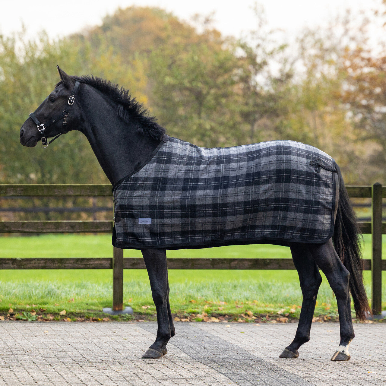 QHP Wool Rug Check
