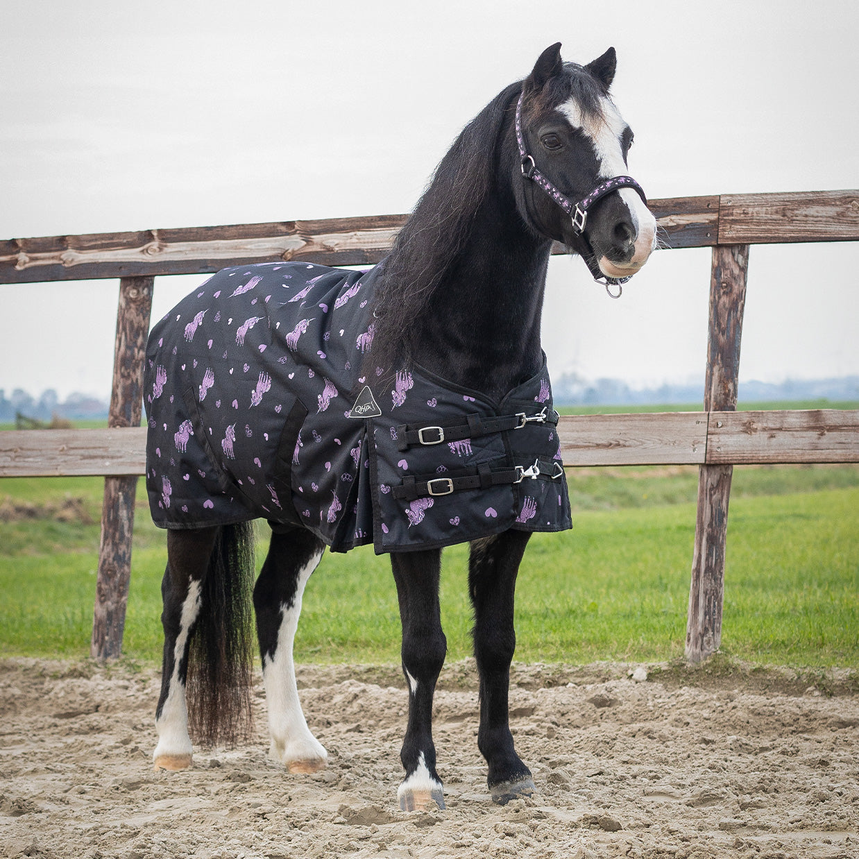 QHP Lize Turnout Rug 100g.