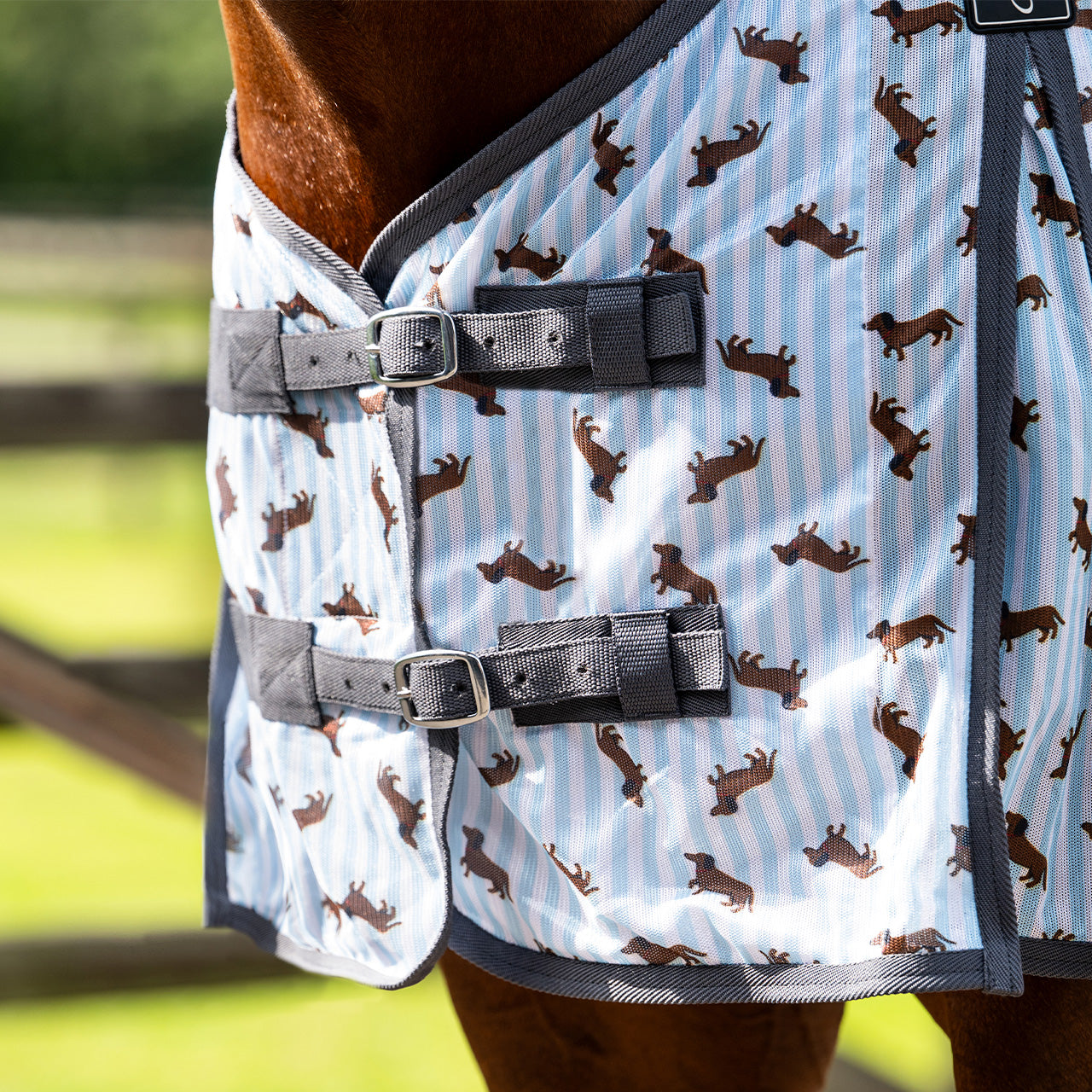 QHP Stable Buddy Dachshund Fly Sheet