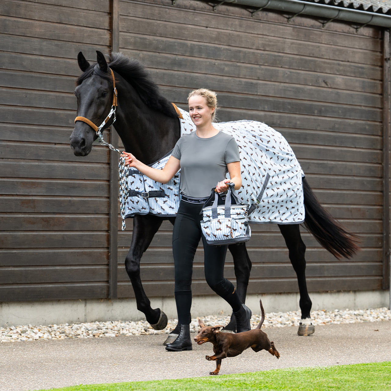 QHP Stable Buddy Dachshund Fly Sheet