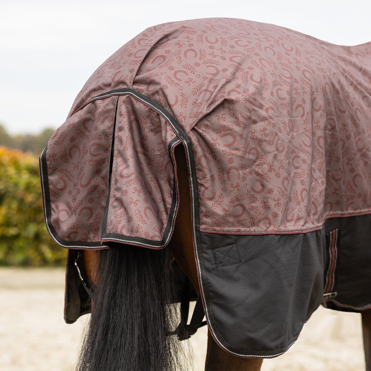 QHP Turnout Rug Collection With Neck 250 g.