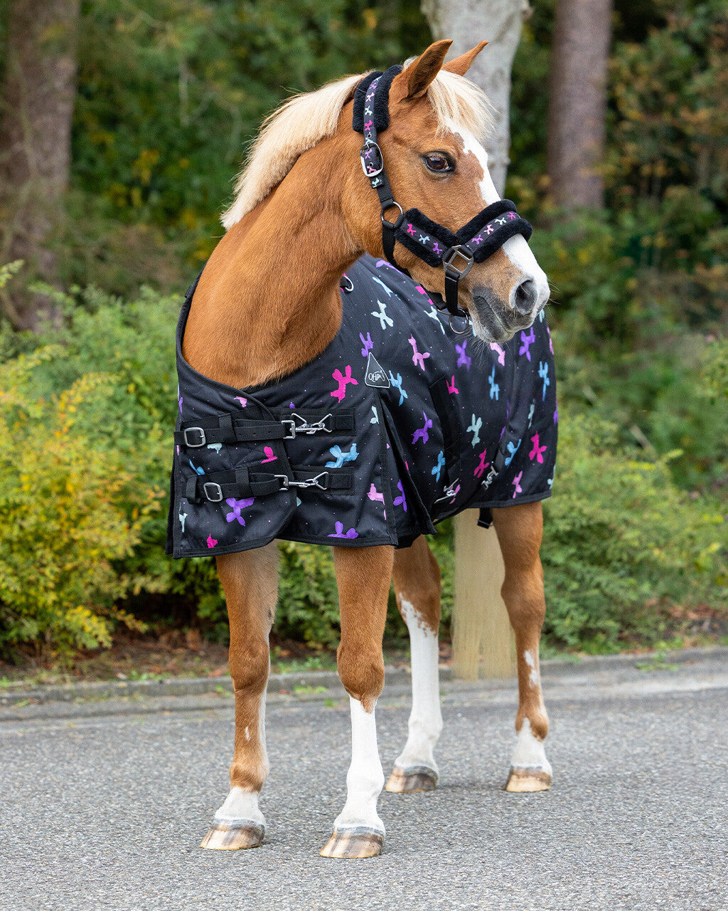 QHP Isalyn Turnout Rug 100g.
