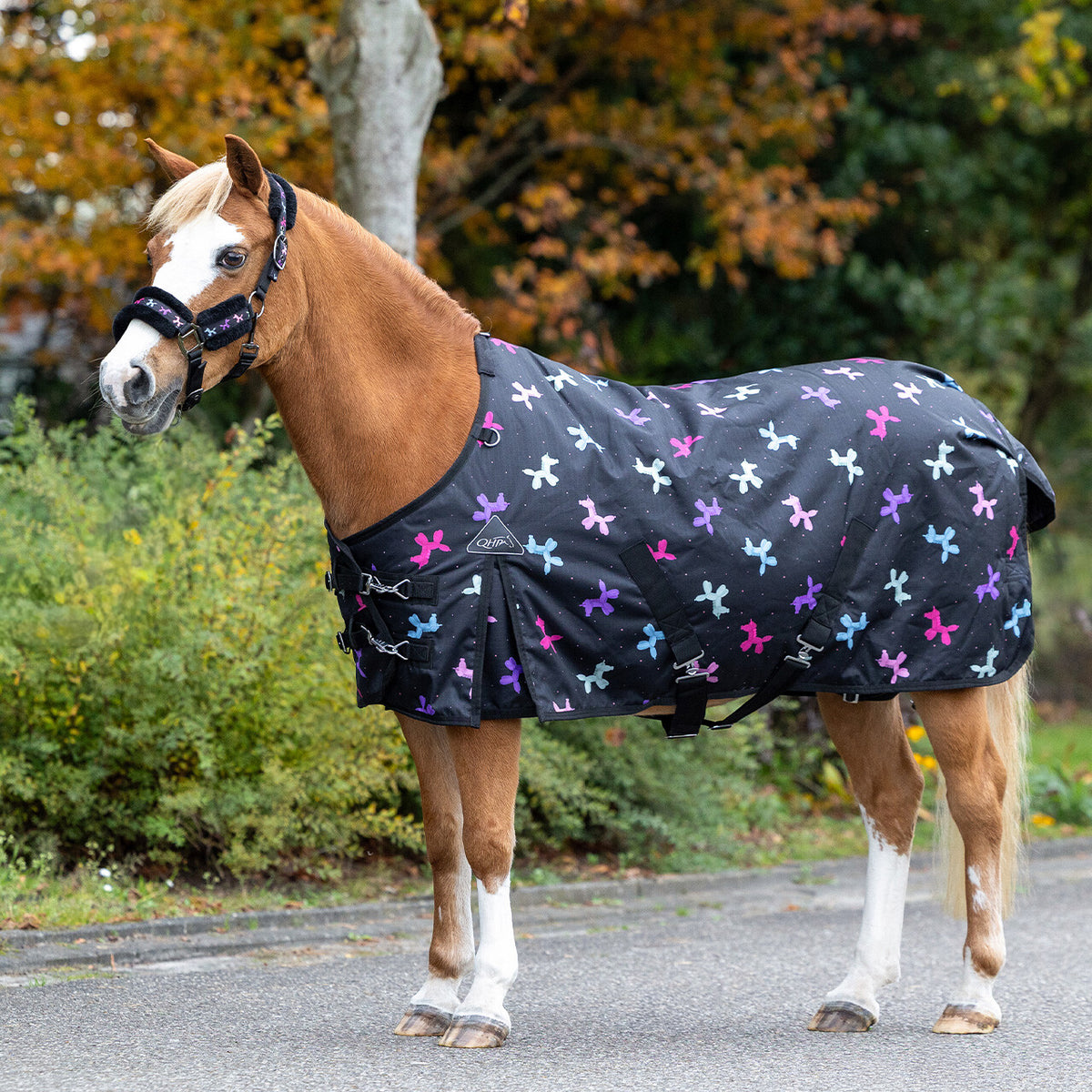 QHP Isalyn Turnout Rug 100g.
