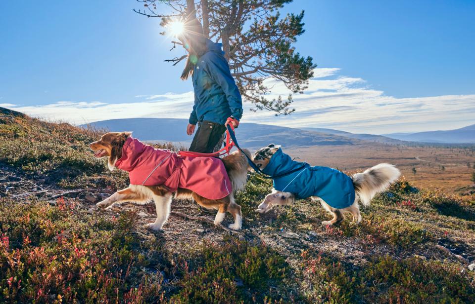 Hurtta Expedition Parka 2.0