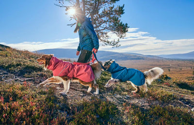 Hurtta Expedition Parka 2.0