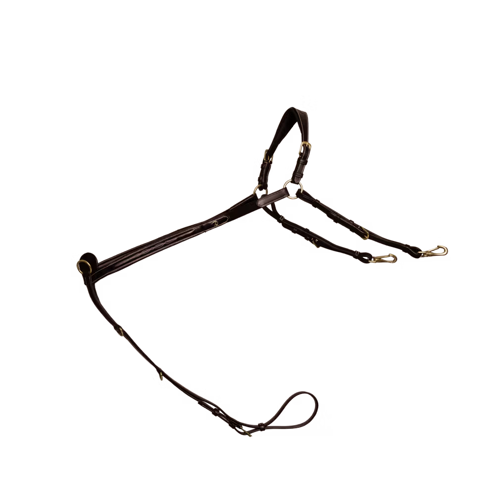 Dyon Bridge Breastplate