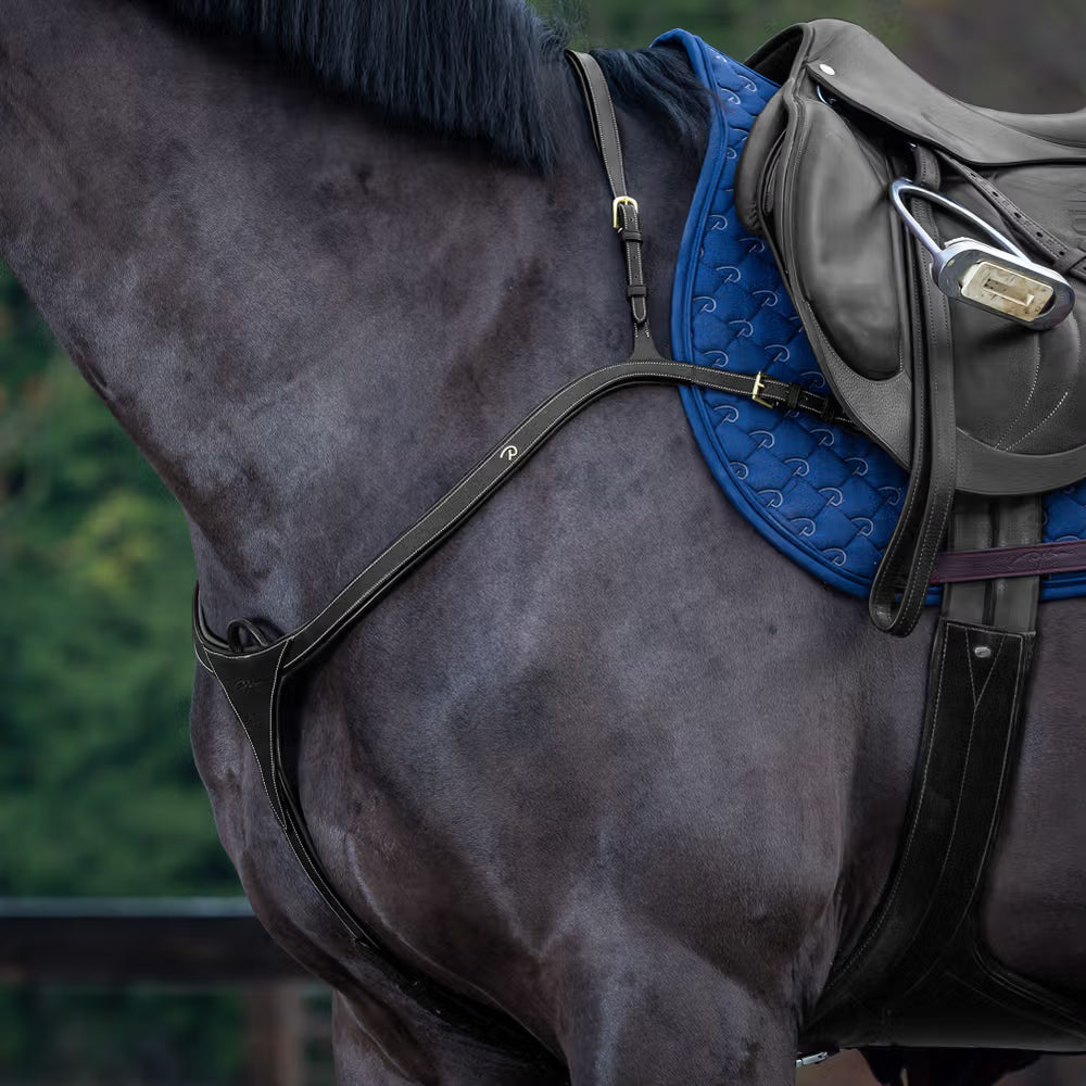 Dyon Longbridge Breastplate
