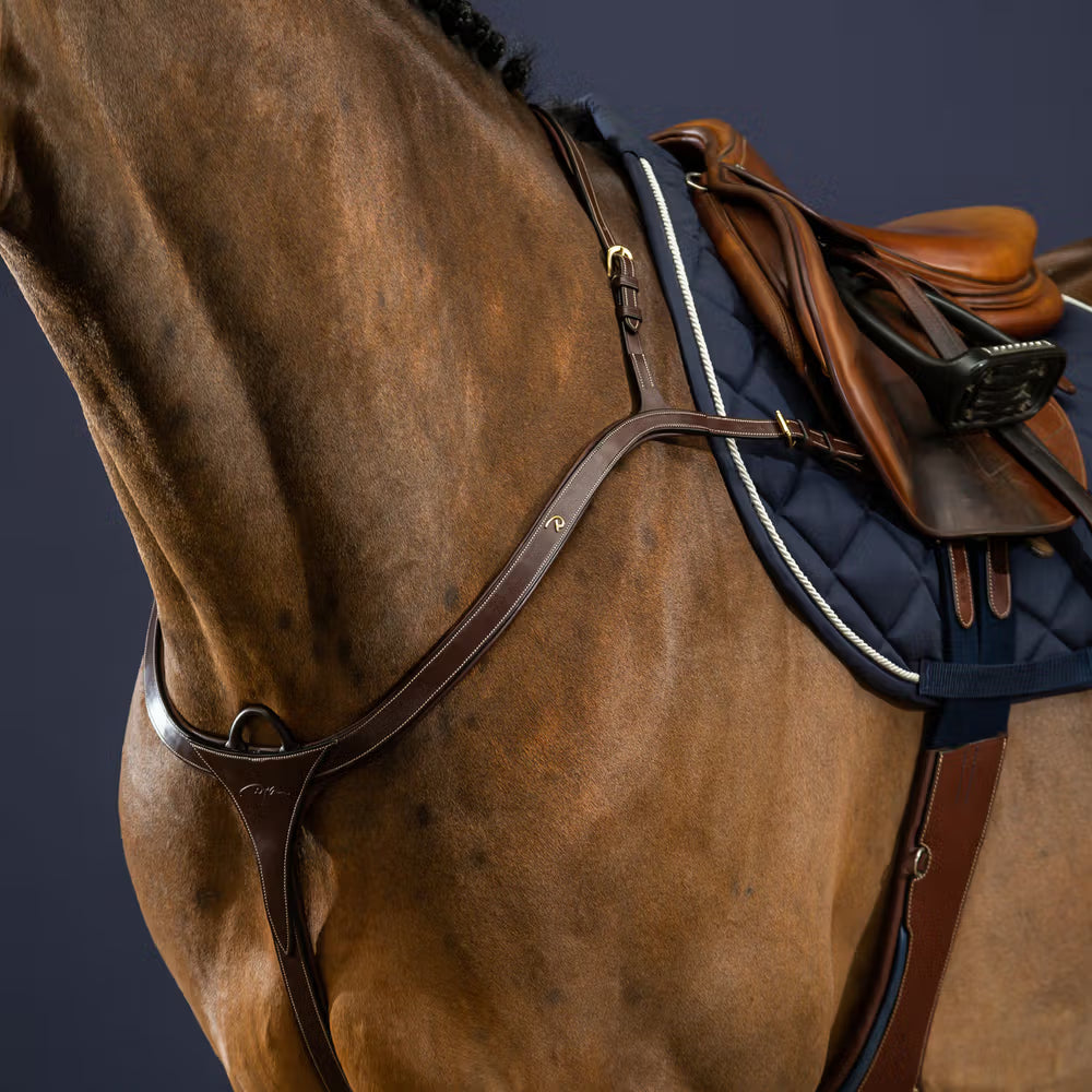 Dyon Longbridge Breastplate