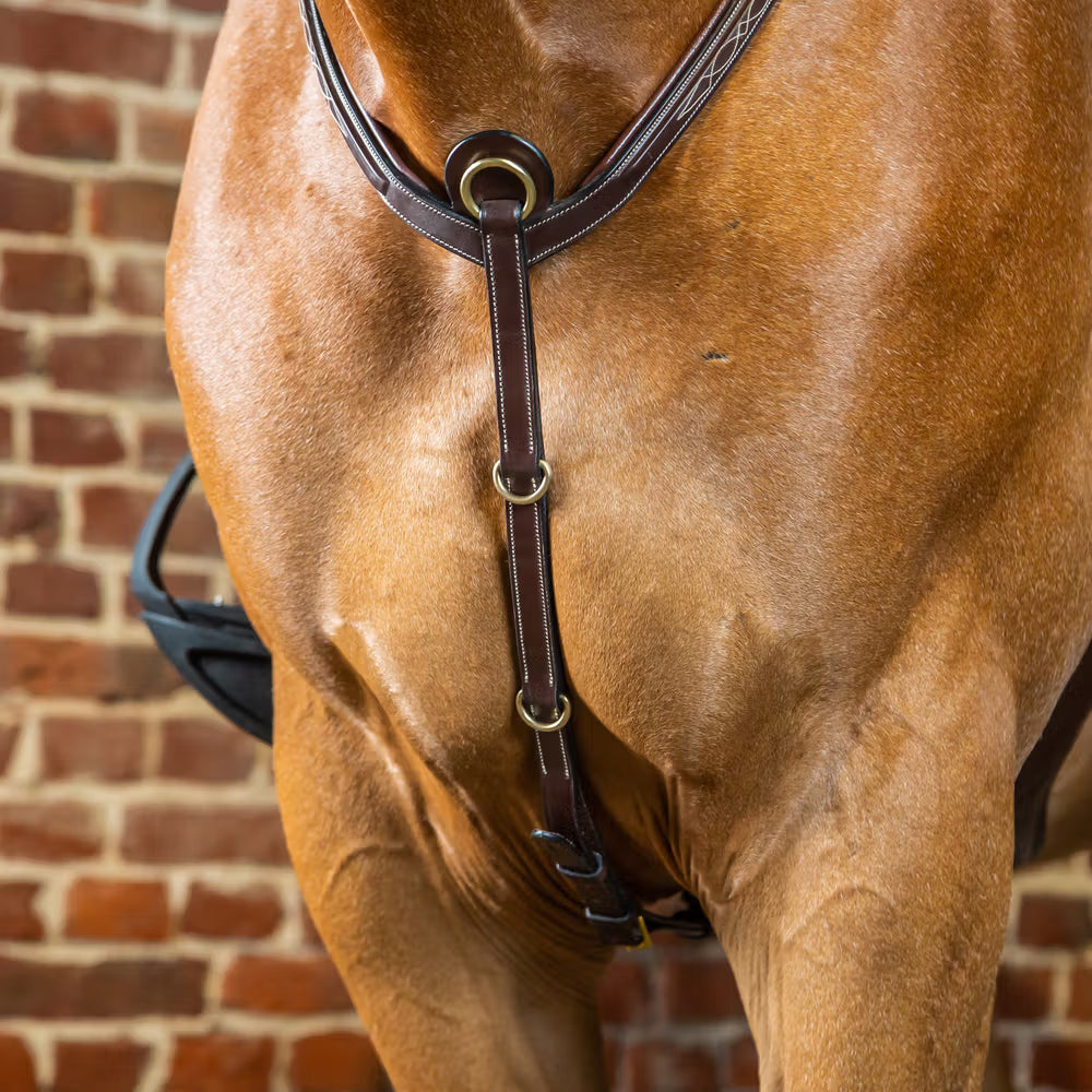 Dyon Bridge Breastplate