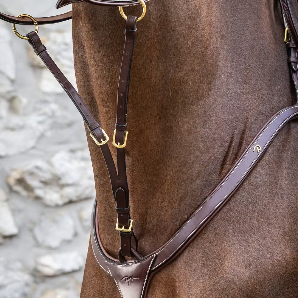 Dyon Running Martingale Attachment