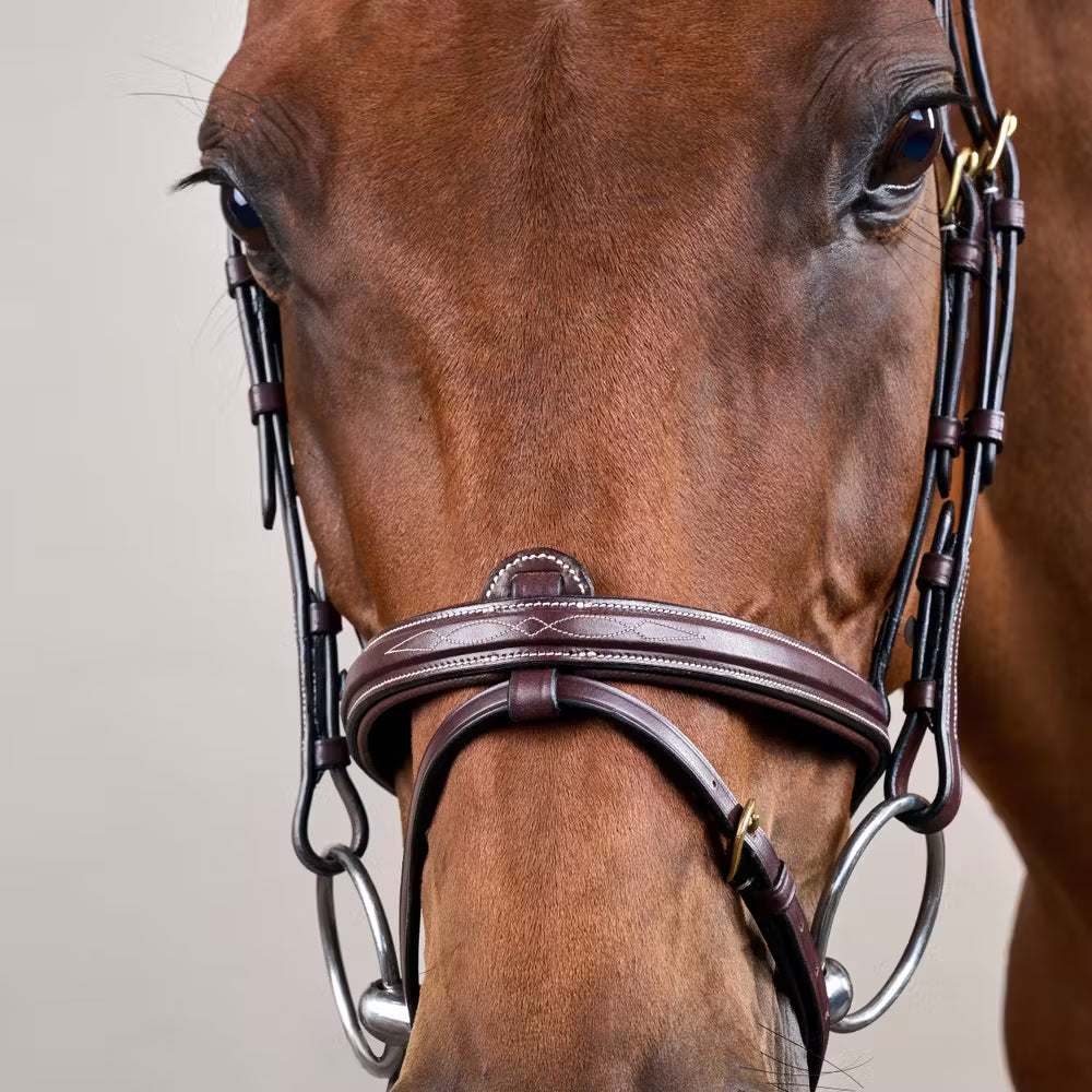 Dyon Flash Noseband Bridle