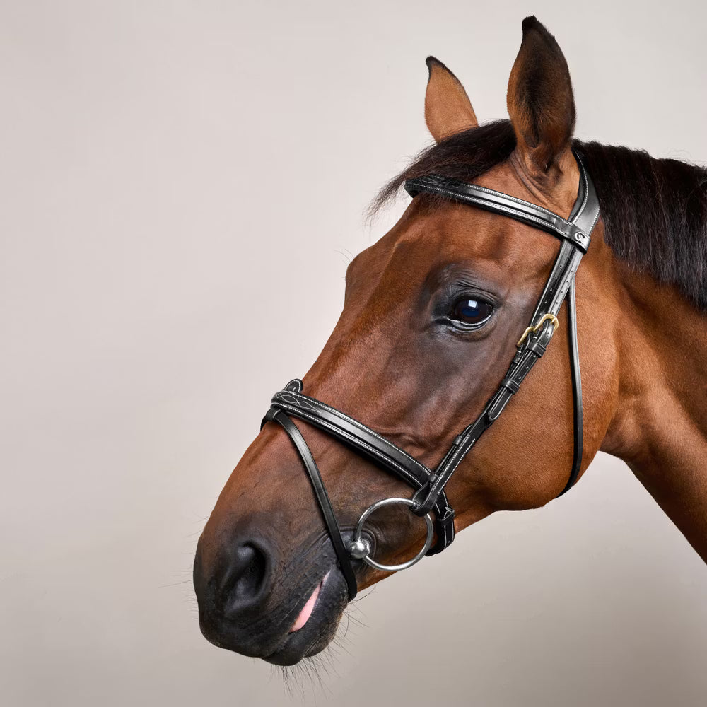 Dyon Flash Noseband Bridle