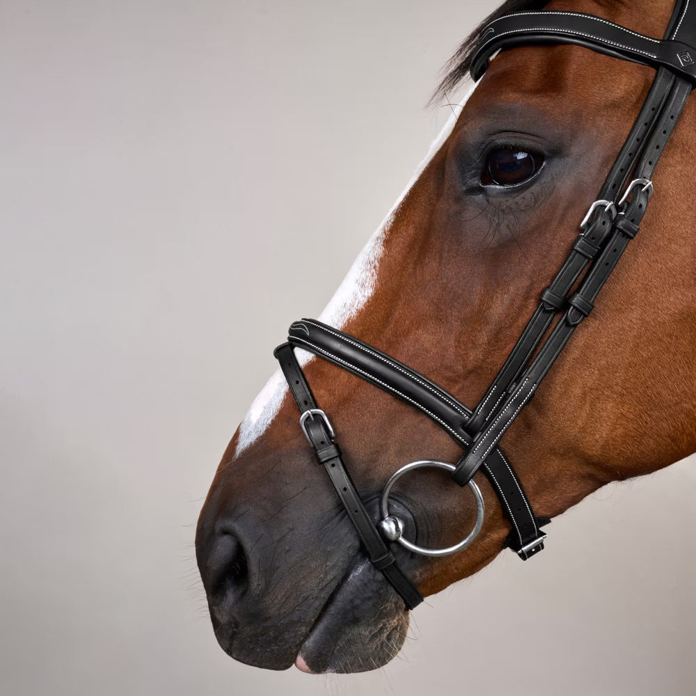 Dyon Flash Noseband Bridle w. Snap Hook