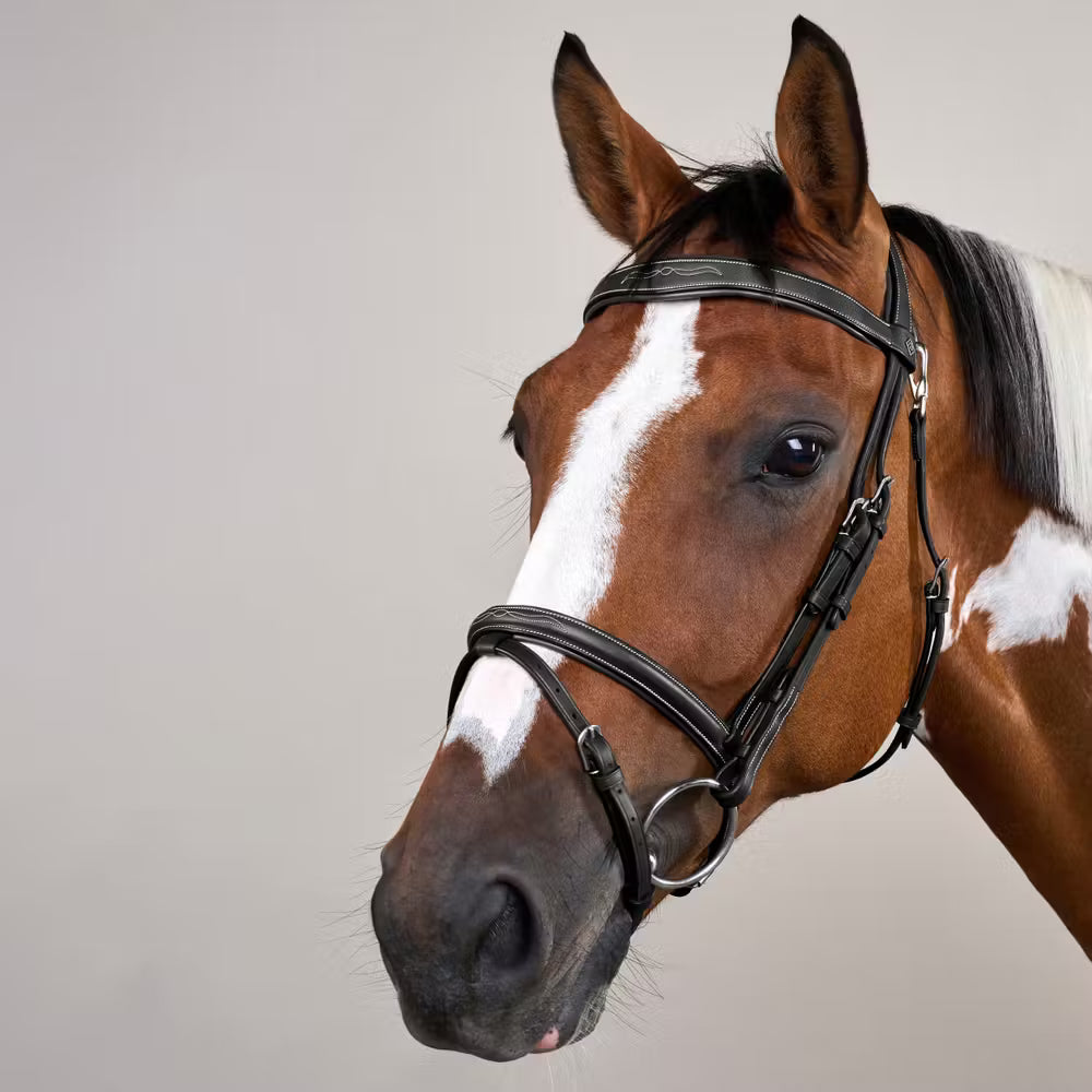 Dyon Flash Noseband Bridle w. Snap Hook
