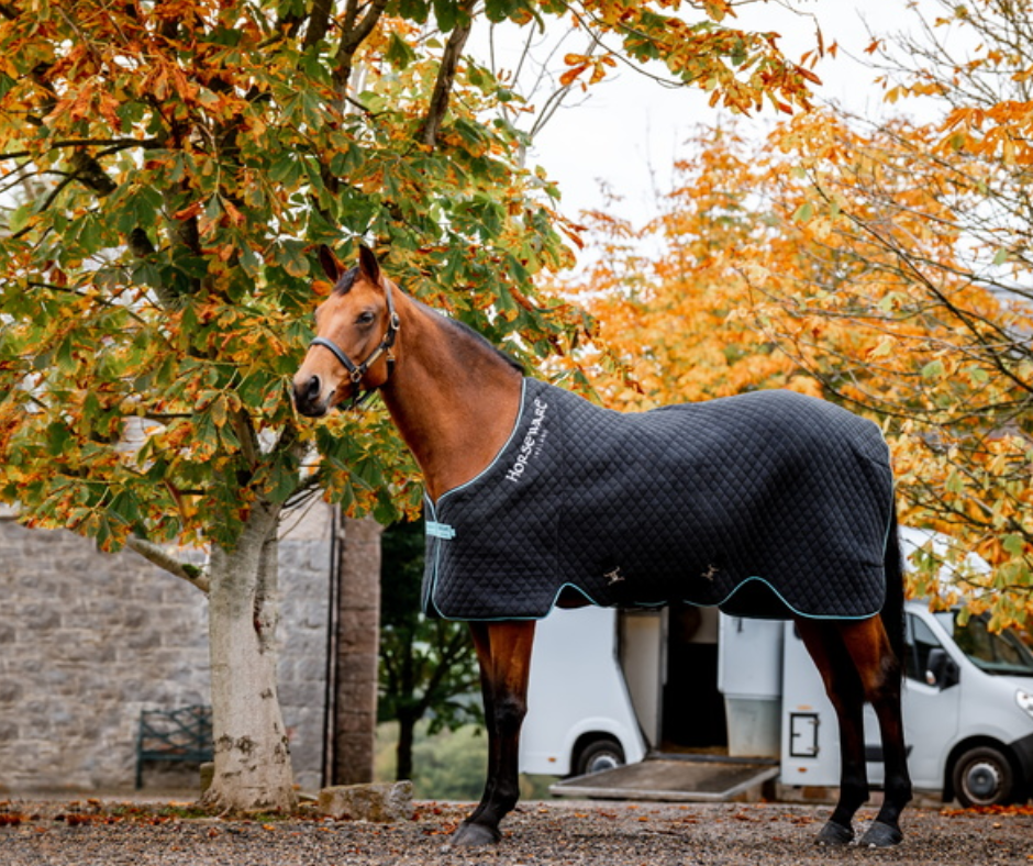 Horseware Autumn Cooler
