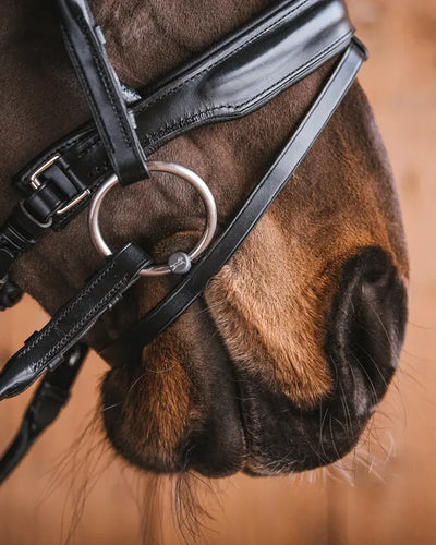 Fager Vendela Titanium Bradoon Loose Rings