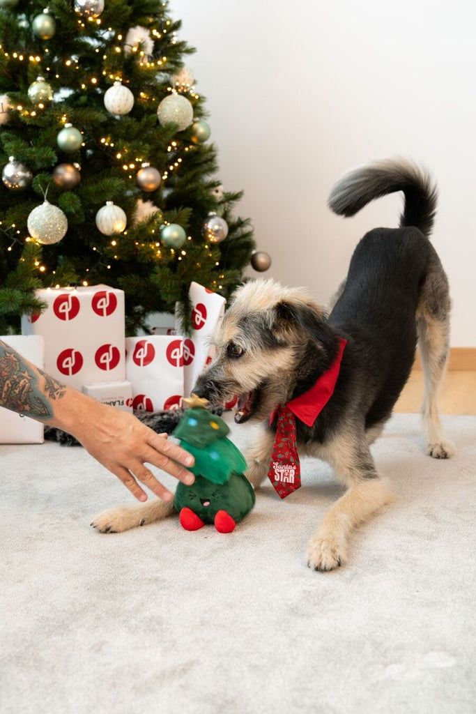 Merry Pets Santa's Star Holly Dog Xmas Tie