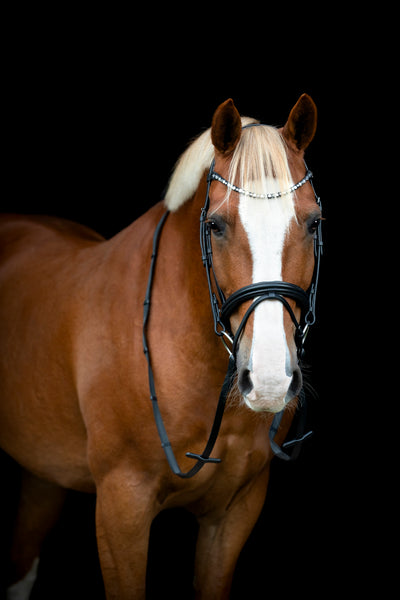 HorseGuard EMI 25.2 Kombineret Trense