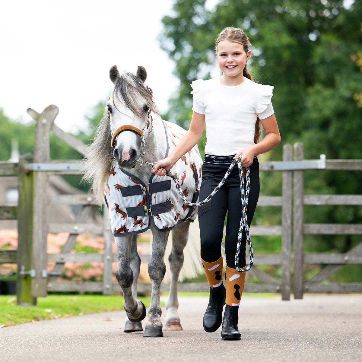 QHP Stable Buddy Knee Stockings Gift Box
