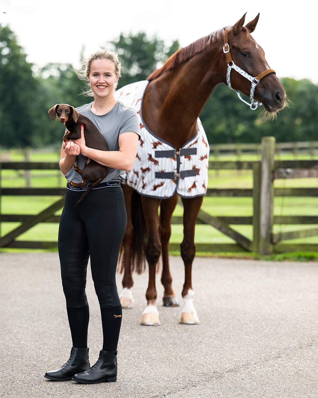 QHP Stable Buddy Knee Stockings Gift Box