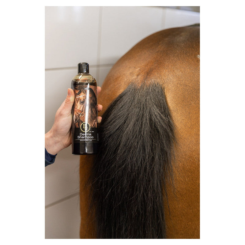 BR Derma Shampoo