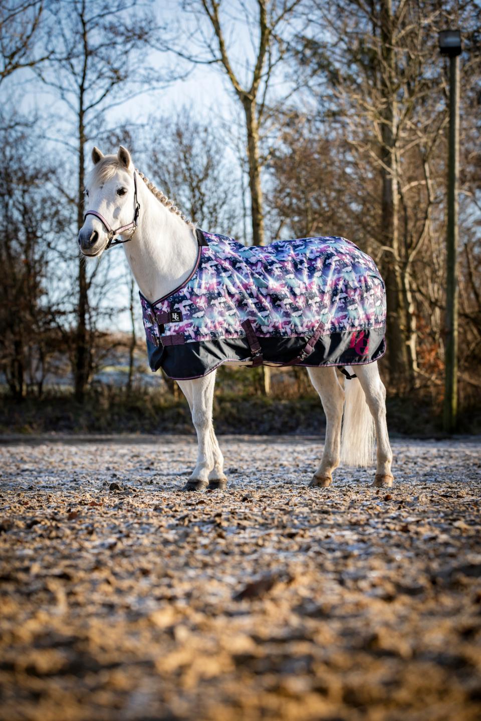 HorseGuard Josh Turnout Rug 100 g.