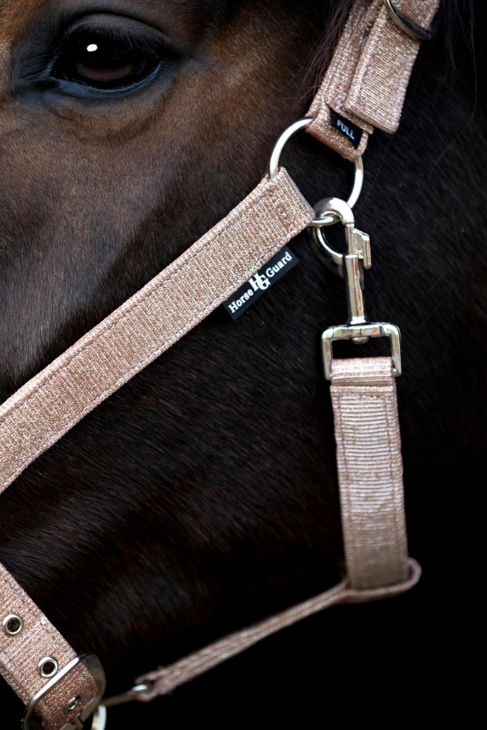 Horse Guard Iowa farveskiftende glimmer grime