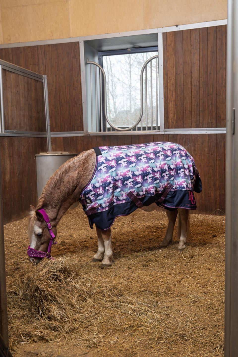 HorseGuard Josh Turnout Rug 100 g.