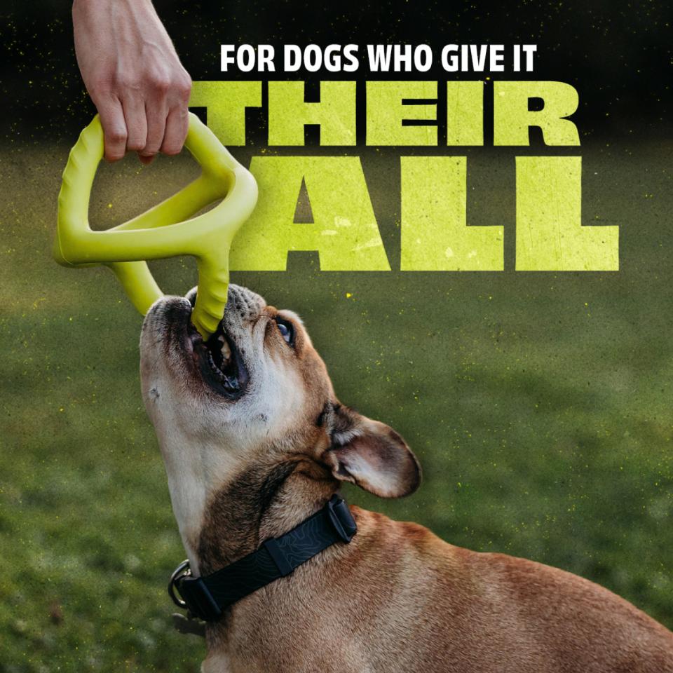 Benebone Bounce Tug
