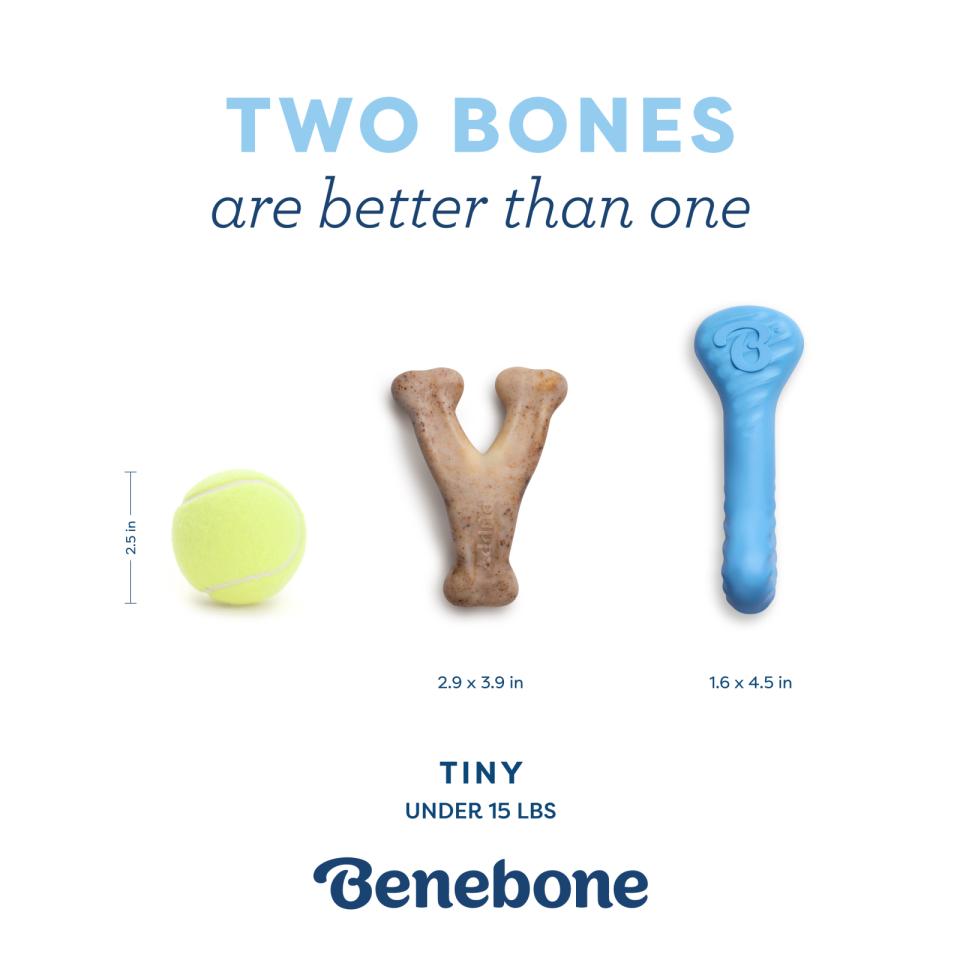 Benebone Puppy 2-Pack Rubber Bone/Wishbone