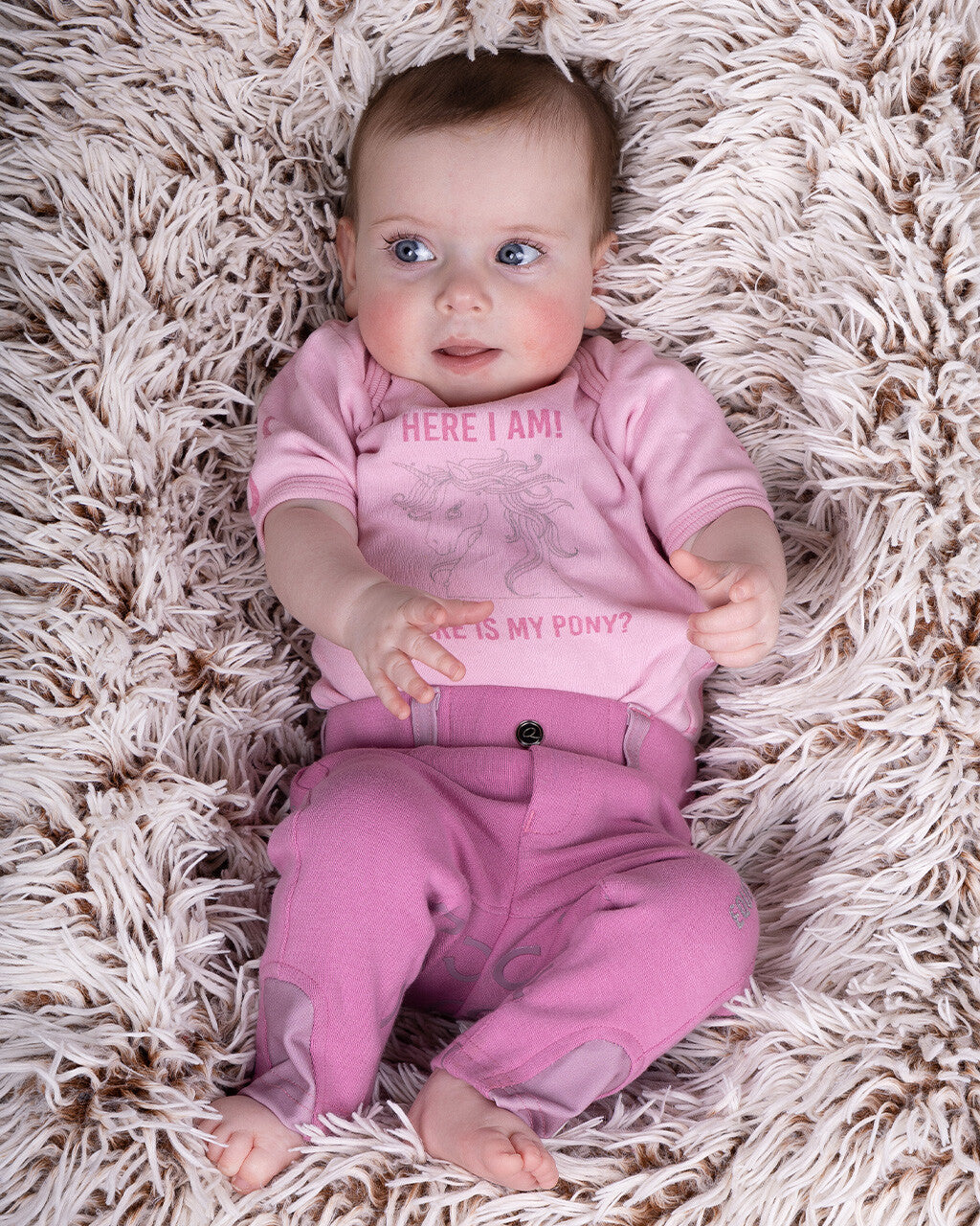 QHP Breeches Junior Bobby