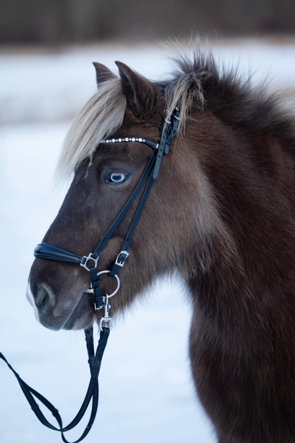 HorseGuard Supergrip-Tøjler Med Hager