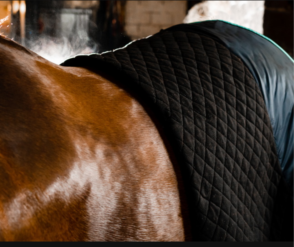 Horseware Autumn Cooler