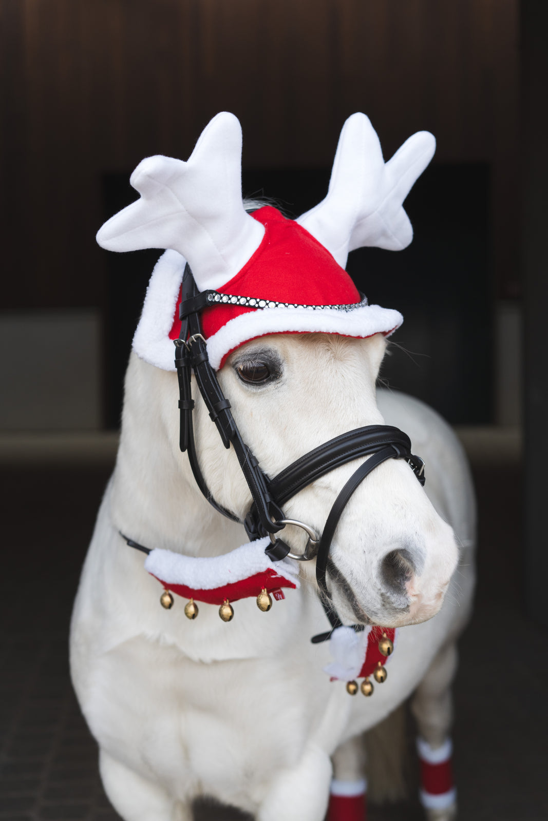 HorseGuard Julerensdyrhut
