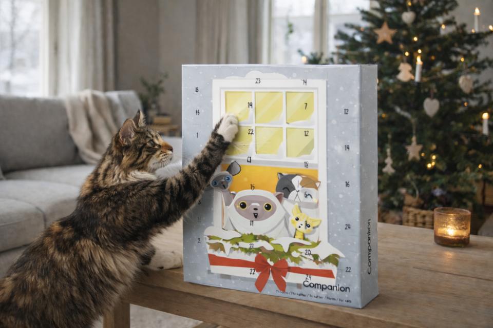 Companion Julekalender Til Kat