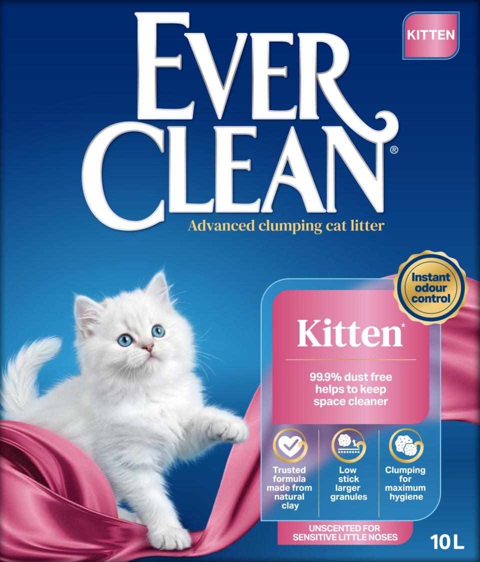 Ever Clean Kitten Kattegrus