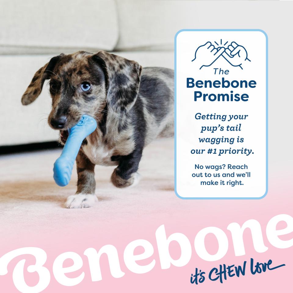 Benebone Puppy 2-Pack Rubber Bone/Wishbone