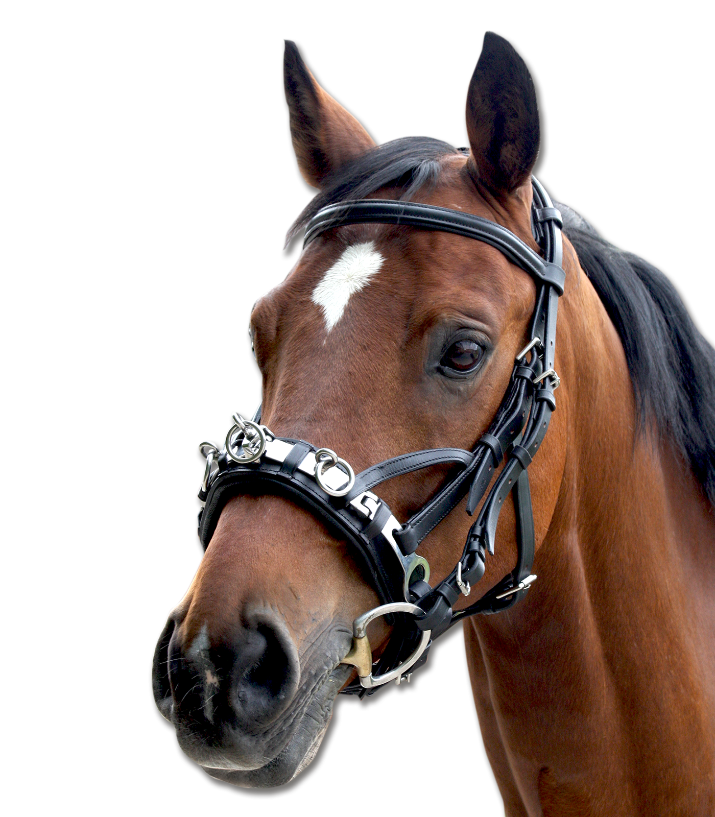 Waldhausen Leather Cavesson