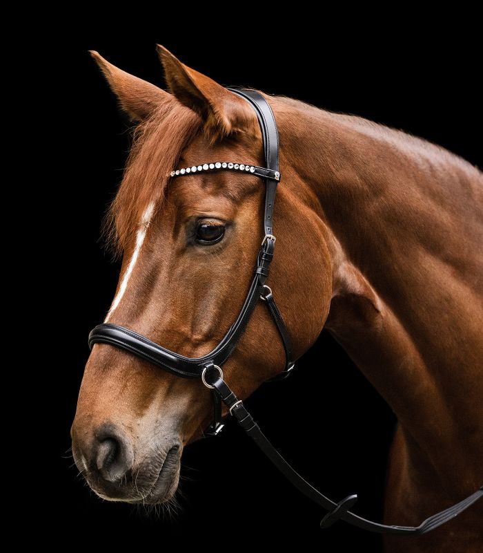 Waldhausen X-Line Bridle Bitless Sensation