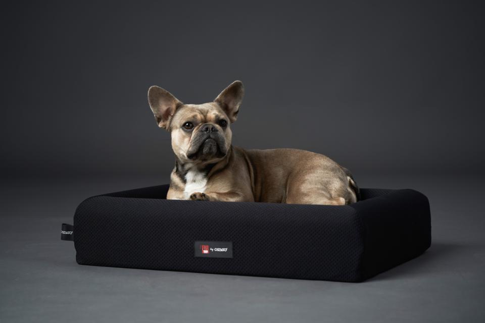 Catago Fir-Tech Hundekurv