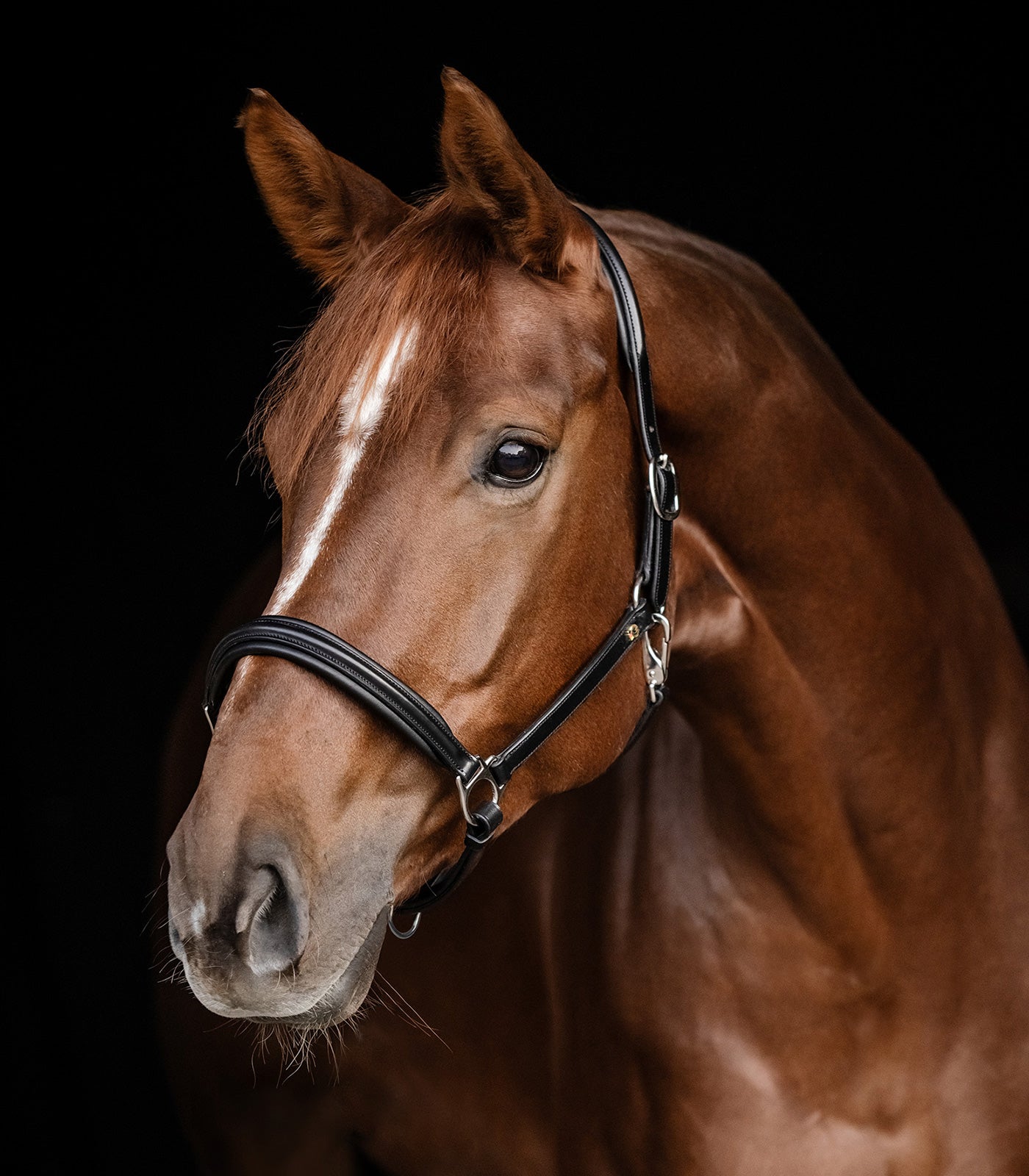 Waldhausen Classy S-Line Lædergrime