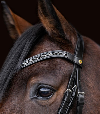 Waldhausen S-Line Blackshine Trense