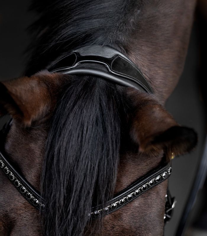 Waldhausen S-Line Blackshine Trense