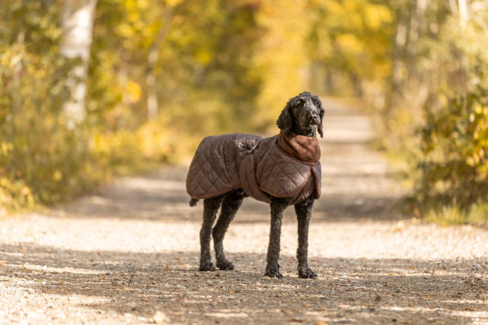 Trixie Minot Sherpa hundejakke